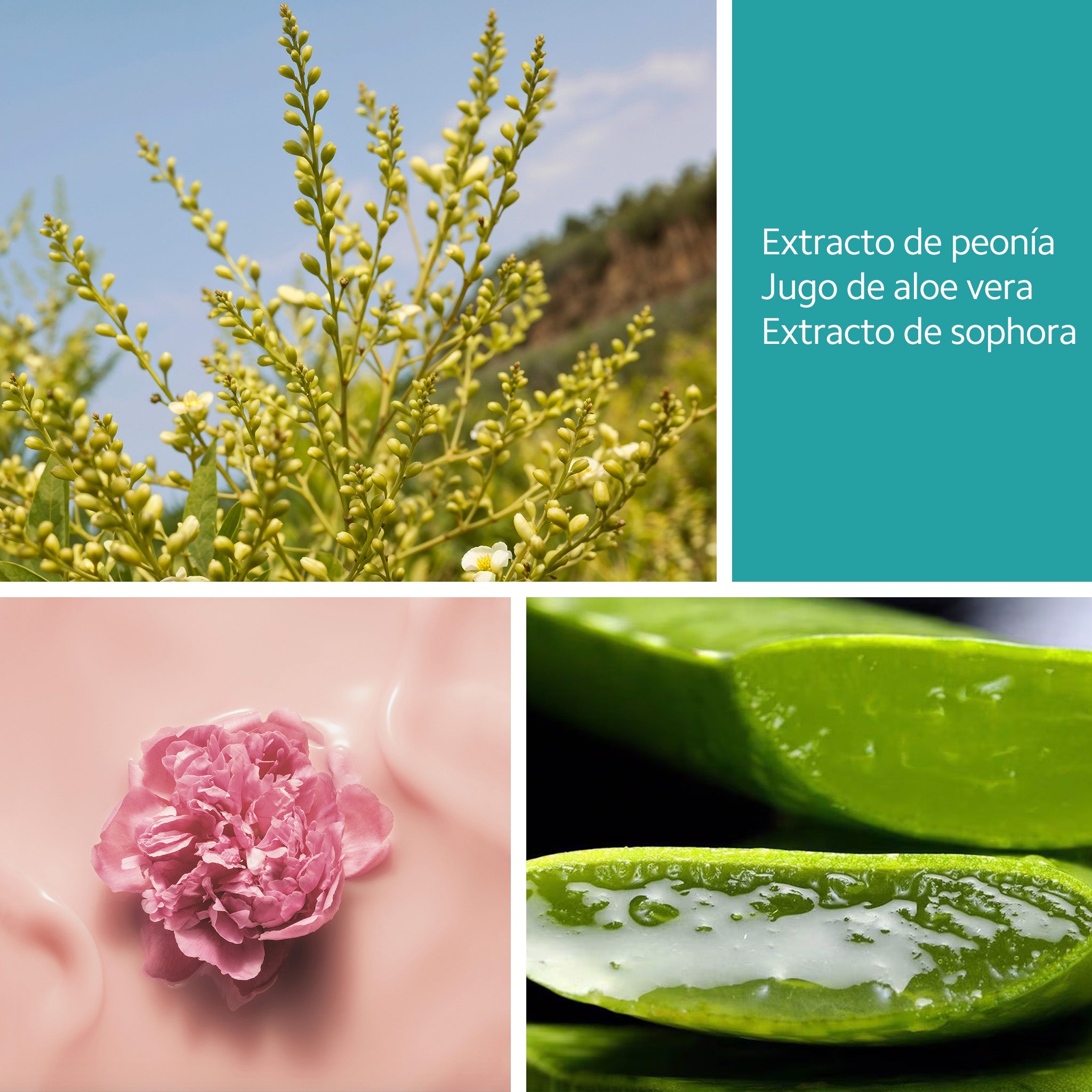 Crema Cicatrizante OUO | Alivio, Hidratación y Protección para la Piel y Tatuajes