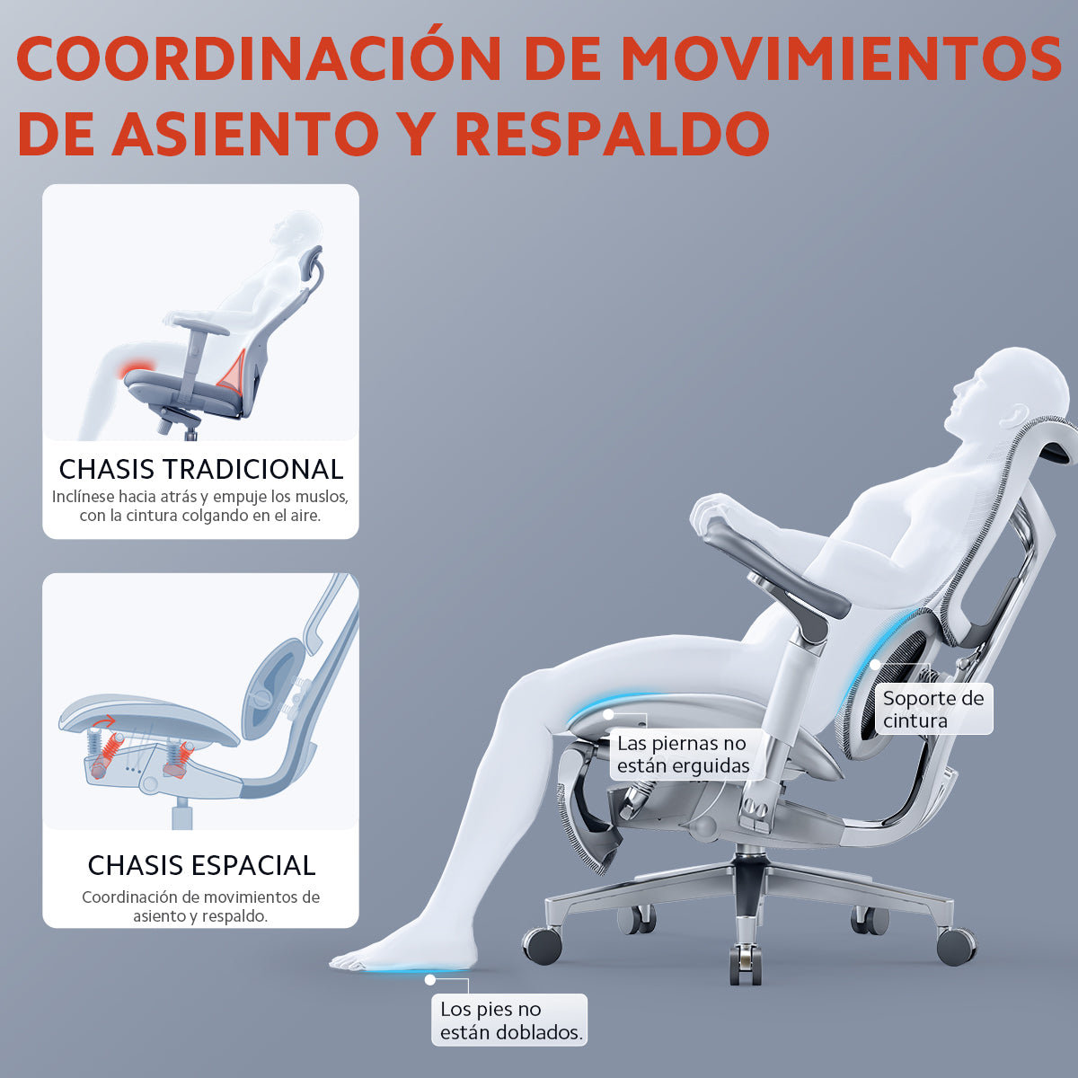 Silla Ergonómica de Oficina SIHOO Doro S300 | Soporte Lumbar Inteligente y Apoyabrazos 6D