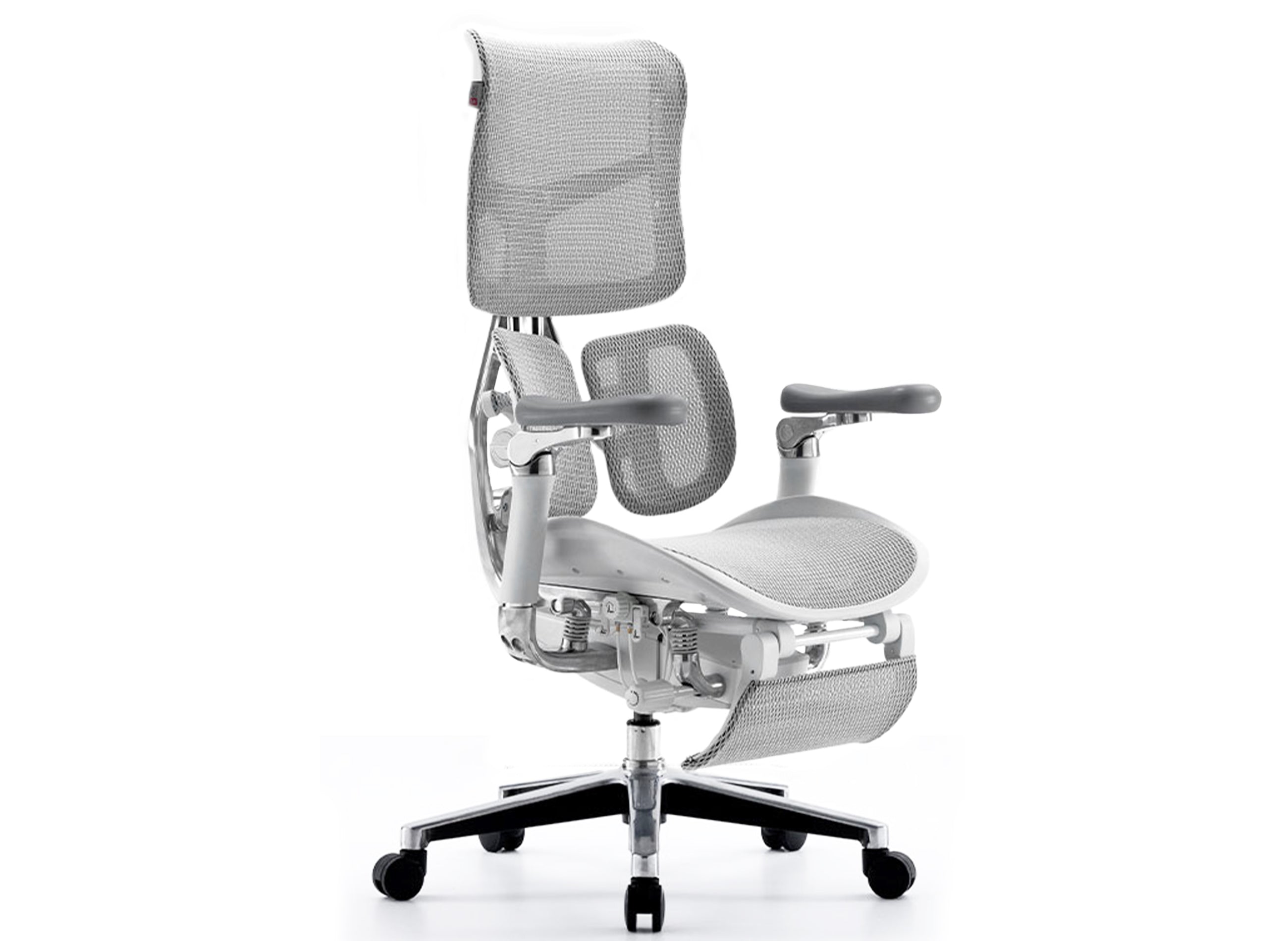 Silla Ergonómica de Oficina SIHOO Doro S300 | Soporte Lumbar Inteligente y Apoyabrazos 6D